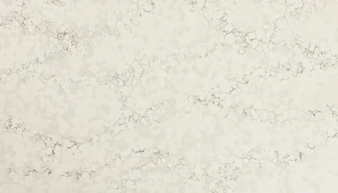Paradigm PREMIUM GIO GRAY Quartz — OS-PQ-075