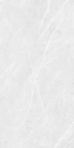 OMT VERMONT SILVER — OMT VERMONT SILVER