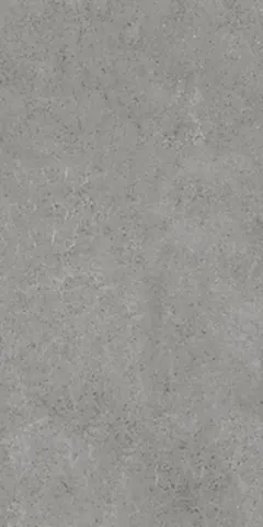OTH JUPITER GRIS 600X1200 — OTH JUPITER GRIS 600X1200