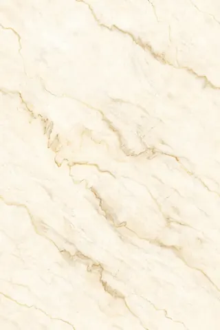 OMT VENETO GOLD — OMT VENETO GOLD