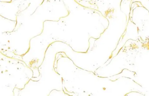 OMT 6505 — OMT 6505