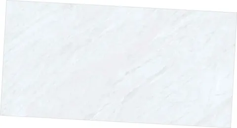 OLP PEATR BIANCO — OLP PEATR BIANCO