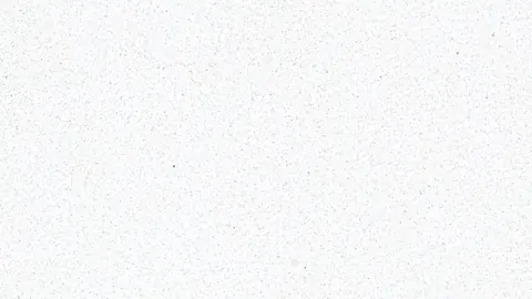 SNOW STAR Quartz — OS-QC-018