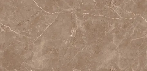 OTH LIVER POOL BROWN END — OTH LIVER POOL BROWN END