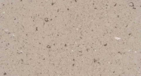 Paradigm MULTICOLOUR WOLF Quartz — OS-PQ-052