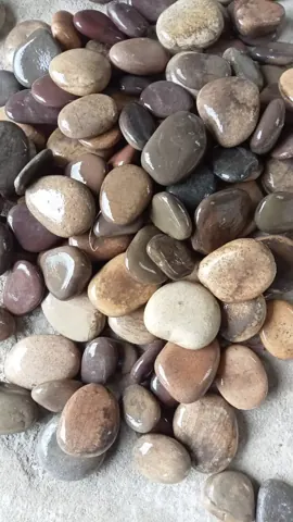Natural River Mix Pebbles — OS-PB-008