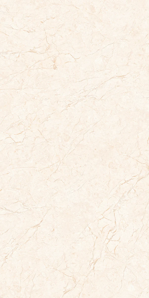 OMT DUBLIN SILVER — OMT DUBLIN SILVER Floor Tiles